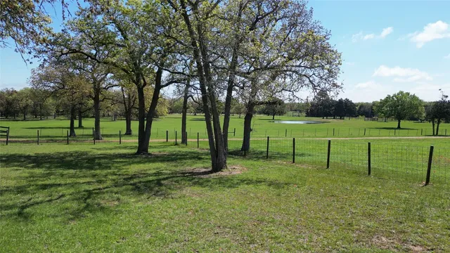 a view of a park with large trees