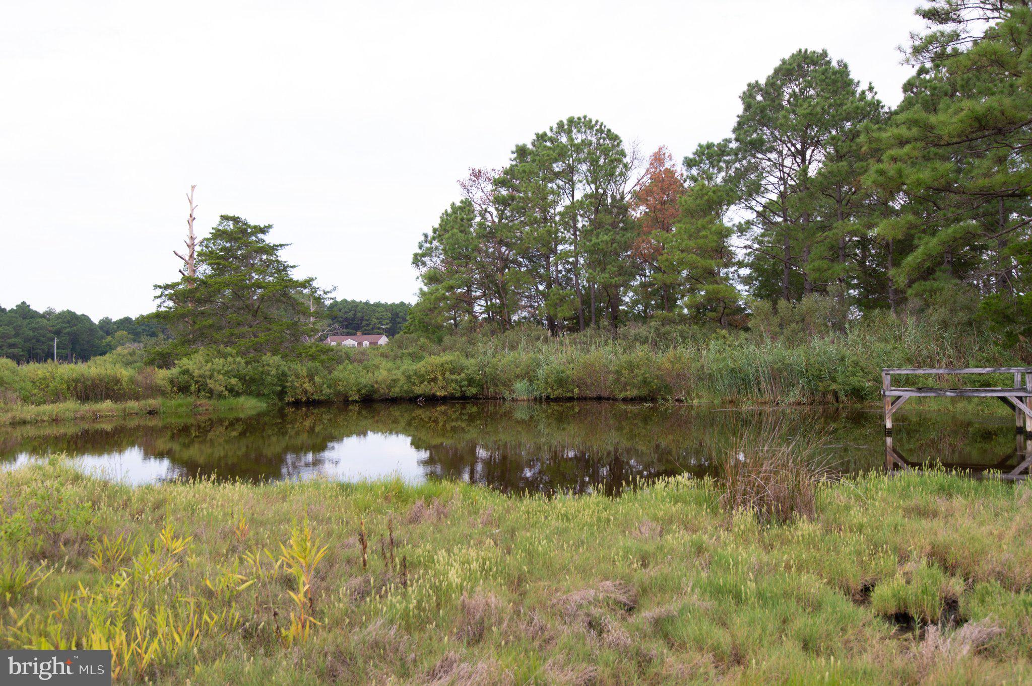 1001 Wagner Point Road Cambridge, MD 21613 - Photo 26 of 105 Gallery Image 26