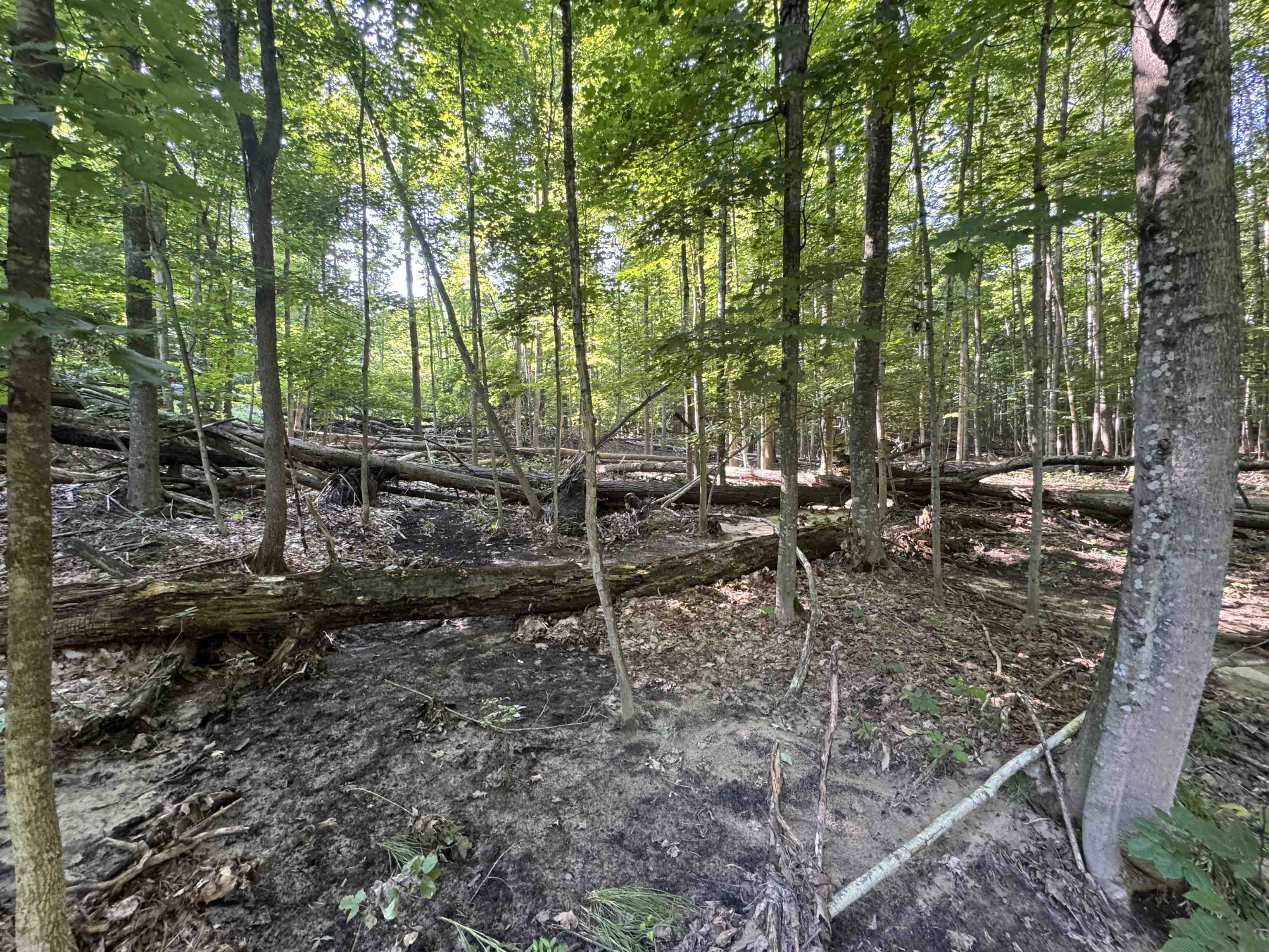 Lot #6 East Bellinger Road, Unit 6 BELLINGER ESTATES (FIN) Cedar, MI 49621 - Photo 24 of 34