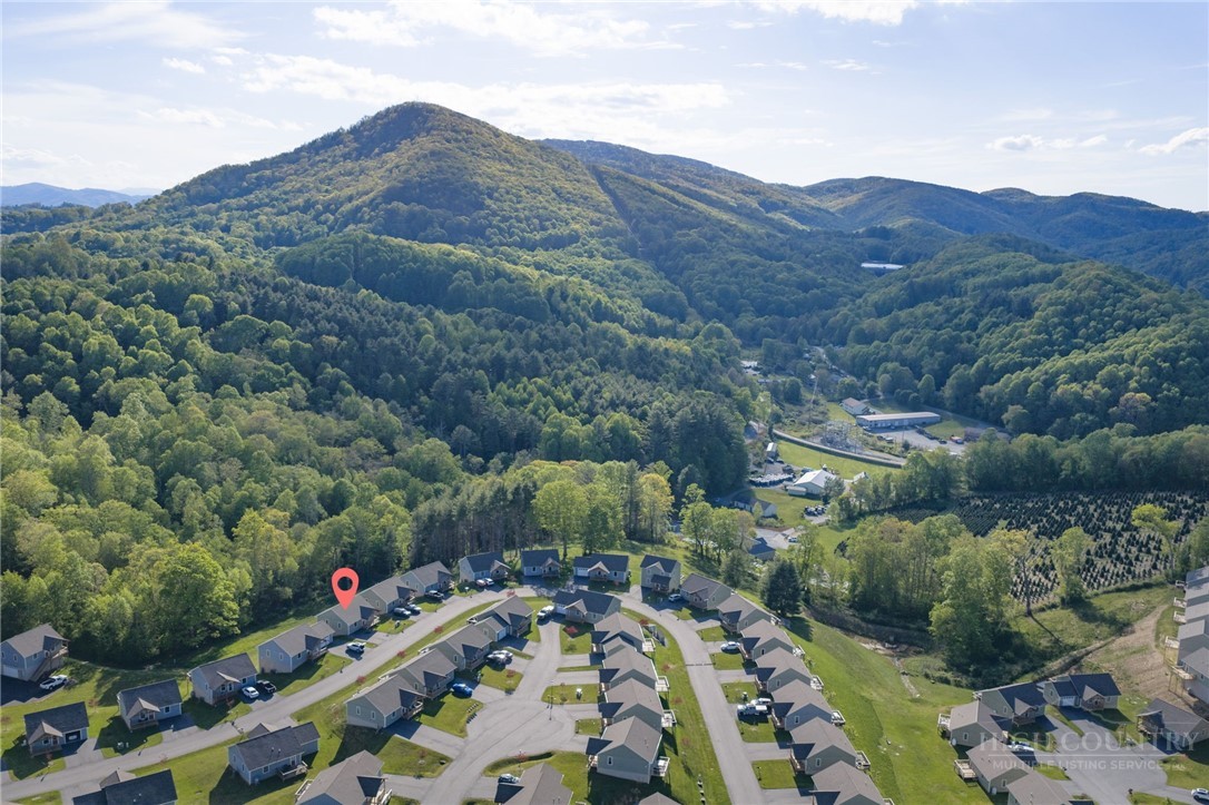463 Townhomes Place, Unit 21 Boone, NC 28607 - Photo 4 of 28