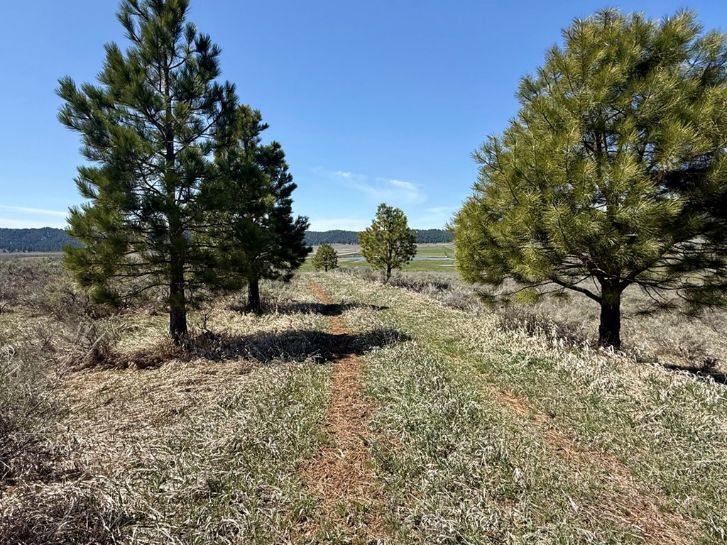 L3-b1 Lantern Way, Unit 3 Cascade, ID 83611 - Photo 7 of 15 Driveway Work is Started