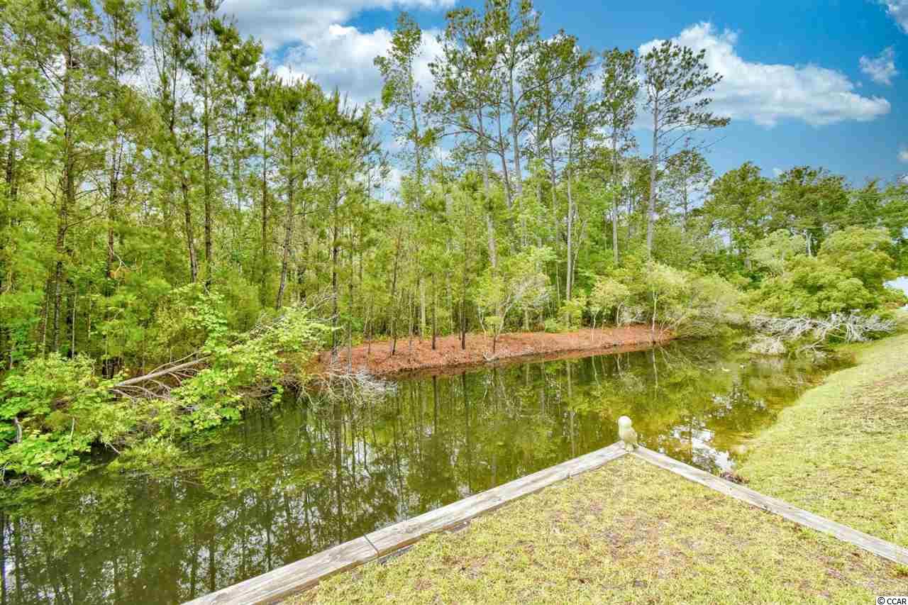 327 Fox Ridge Drive Myrtle Beach, SC 29588 - Photo 38 of 40 Gallery Image 38