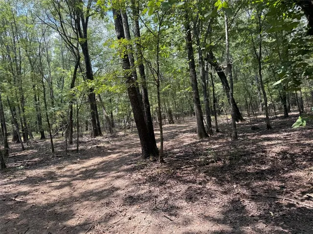 a view of outdoor space with trees