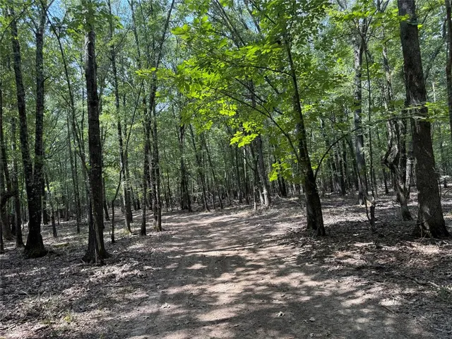 a view of outdoor space with tree s