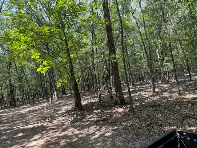 a view of outdoor space with trees