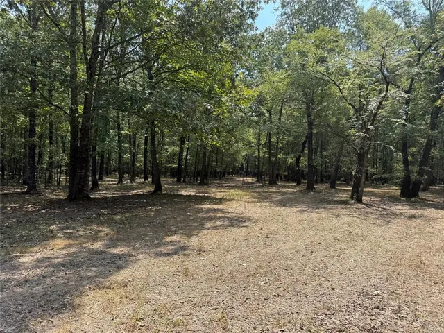 a view of backyard with green space