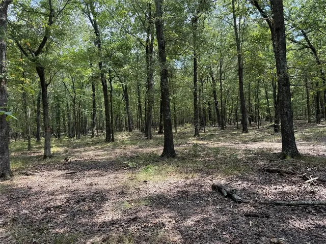a view of outdoor space with trees