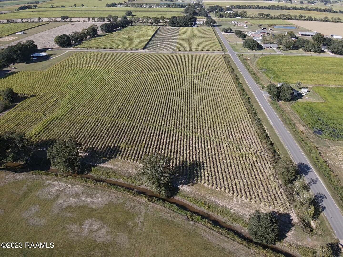 Tbd Albert Road Abbeville, LA 70510 - Photo 6 of 7