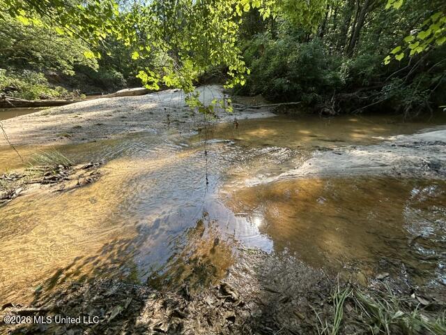 Parker Road Crosby, MS 39633 - Photo 15 of 16 IMG_4224