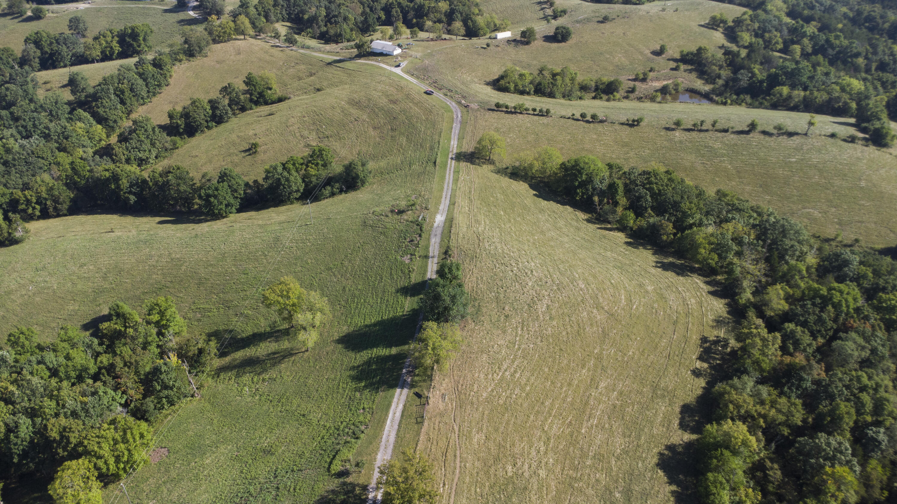 112-acres Keefer Road Corinth, KY 41010 - Photo 7 of 16 Keefer-35