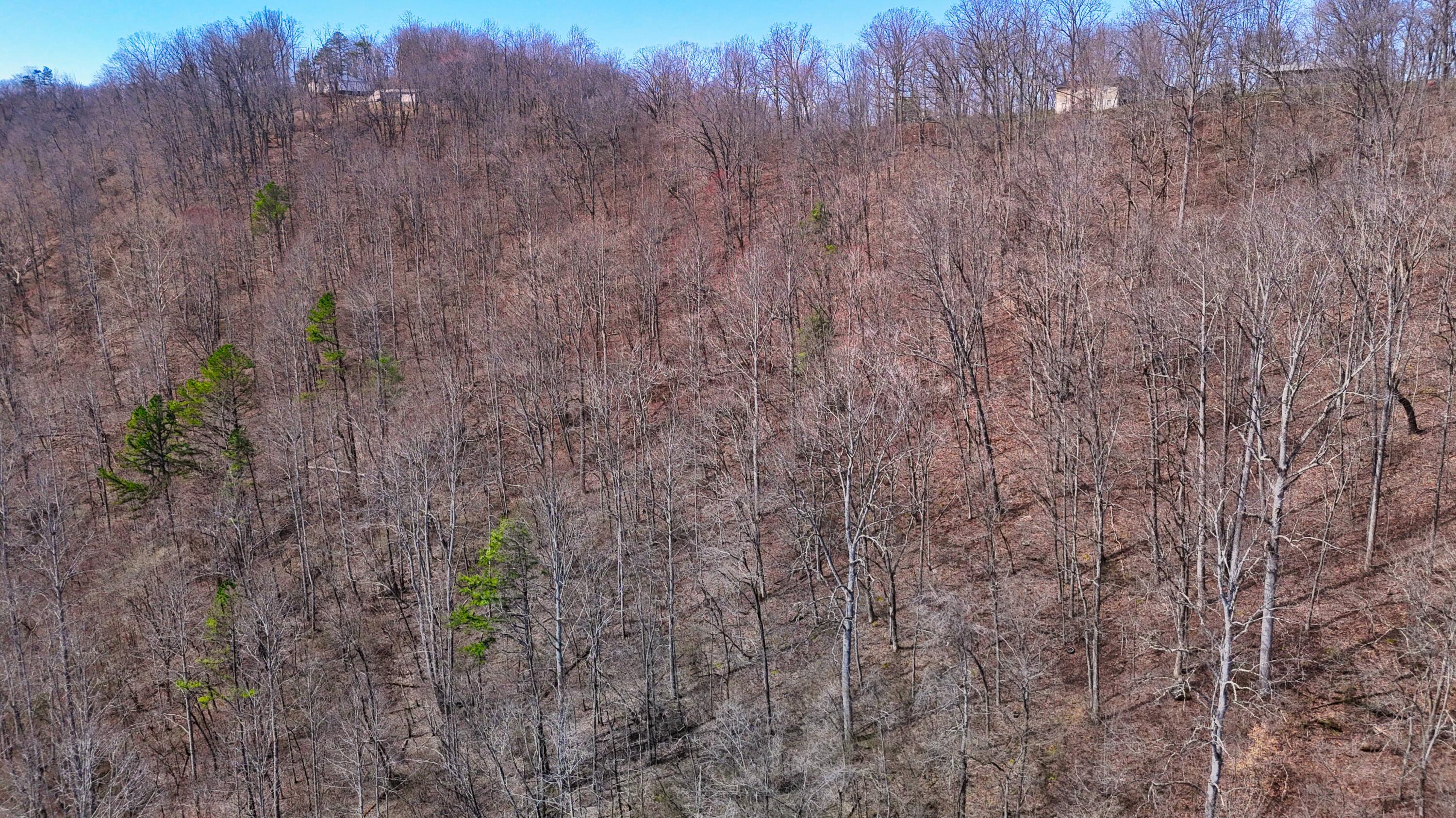 0 Sand Springs Road McKee, KY 40447 - Photo 27 of 58 DJI_20250318130749_0037_D