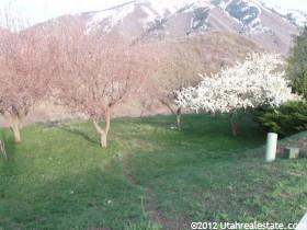 215 Fremont Way Elk Ridge, UT 84651 - Photo 1 of 1