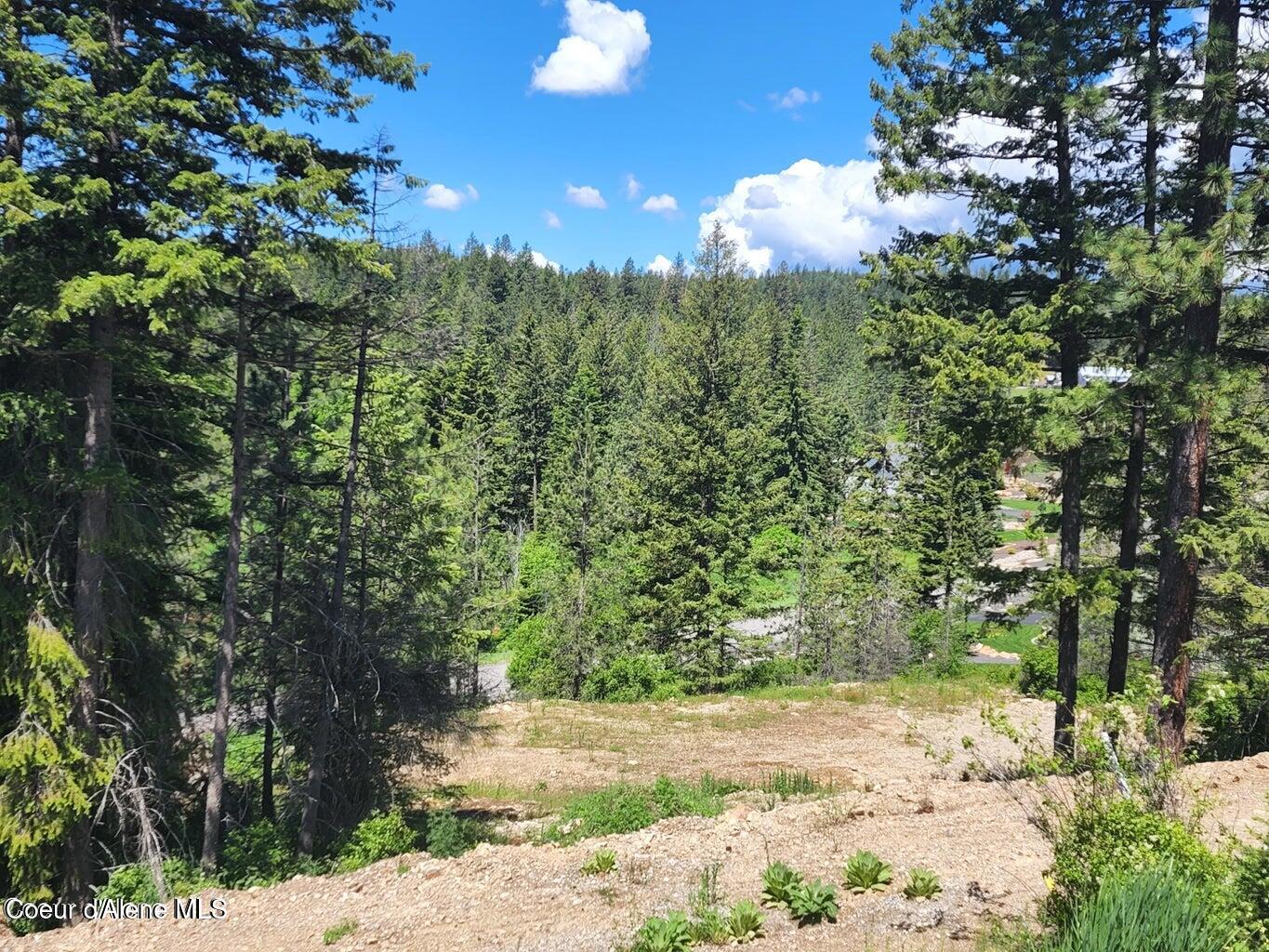 L6-b5 North Spiral Ridge Trail Rathdrum, ID 83858 - Photo 4 of 25 20250215002155650266000000-o