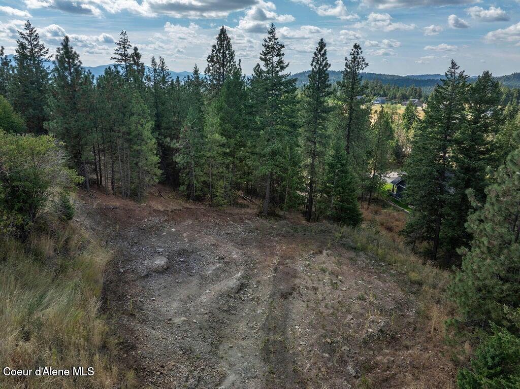 L6-b5 North Spiral Ridge Trail Rathdrum, ID 83858 - Photo 9 of 25 20250225204806883691000000-o