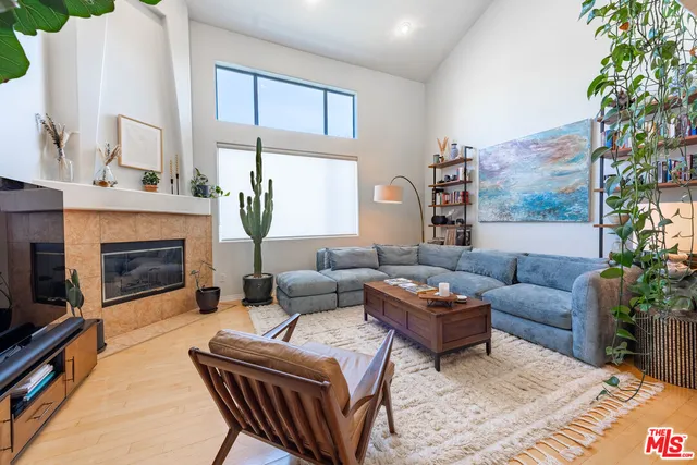 a living room with furniture a fireplace and a potted plant