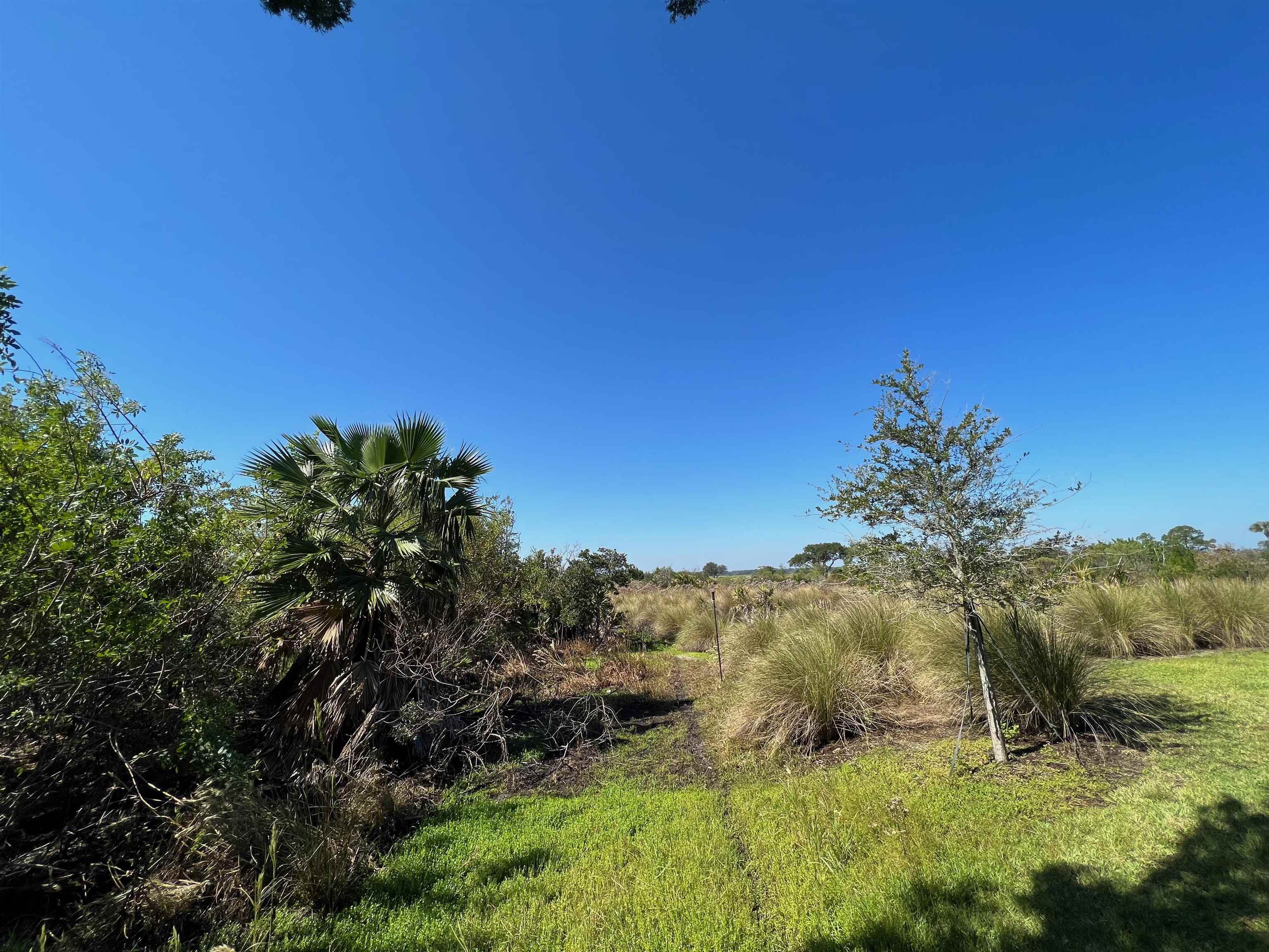 143 Marshside Drive St. Augustine, FL 32080 - Photo 15 of 16 a view of an outdoor space and a yard