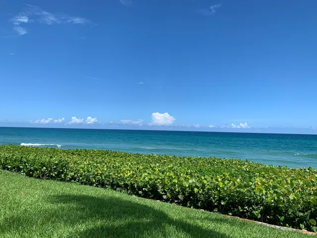 a view of beach and ocean