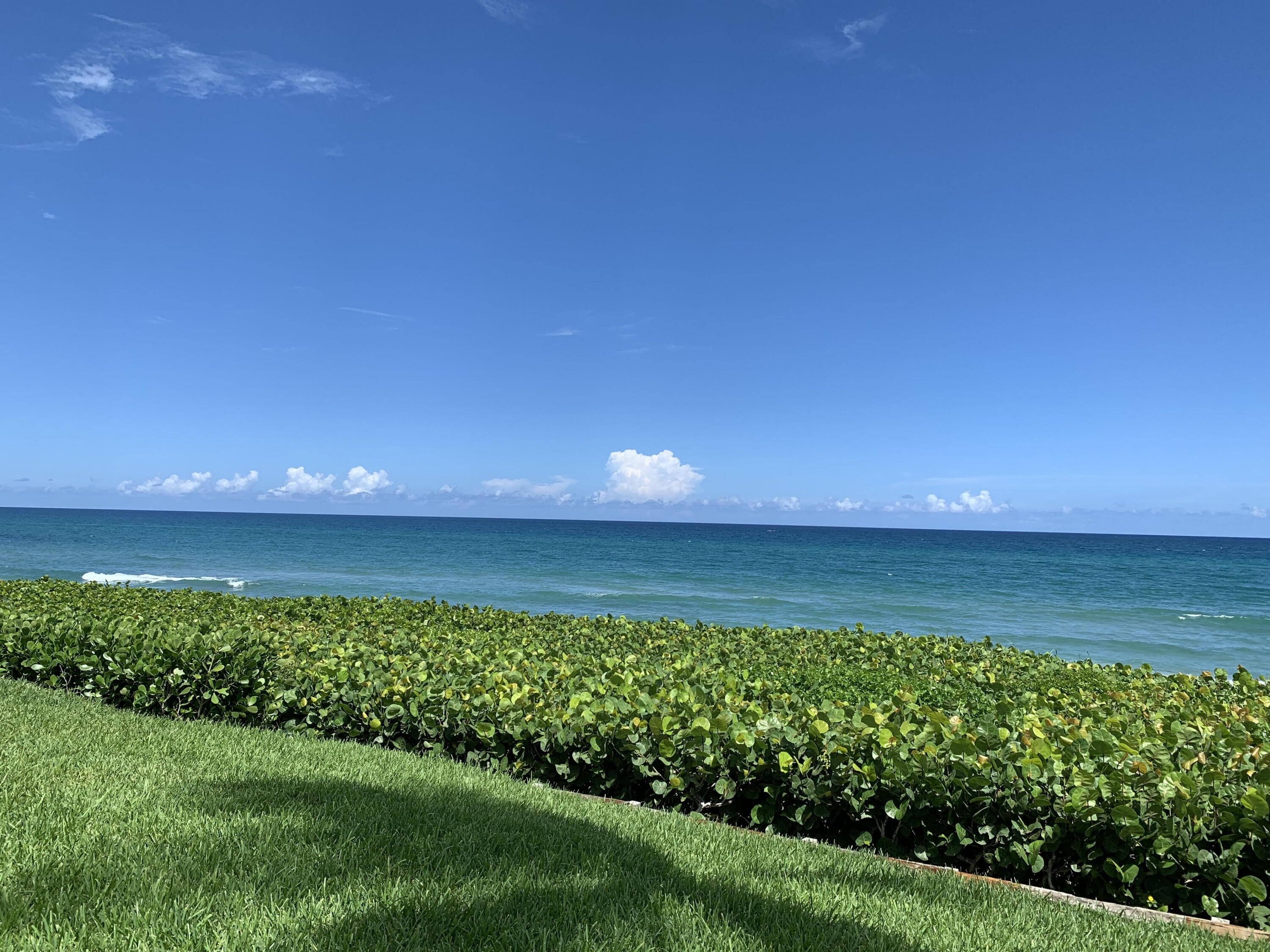 3115 South Ocean Boulevard, Unit 1002 Highland Beach, FL 33487 - Photo 34 of 37 a view of an ocean from a garden