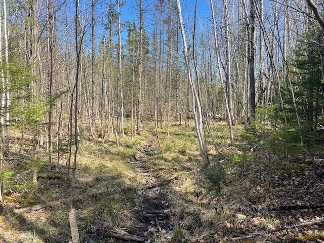 Bilder Road Wolverine, MI 49799 - Photo 9 of 22 Gallery Image 9