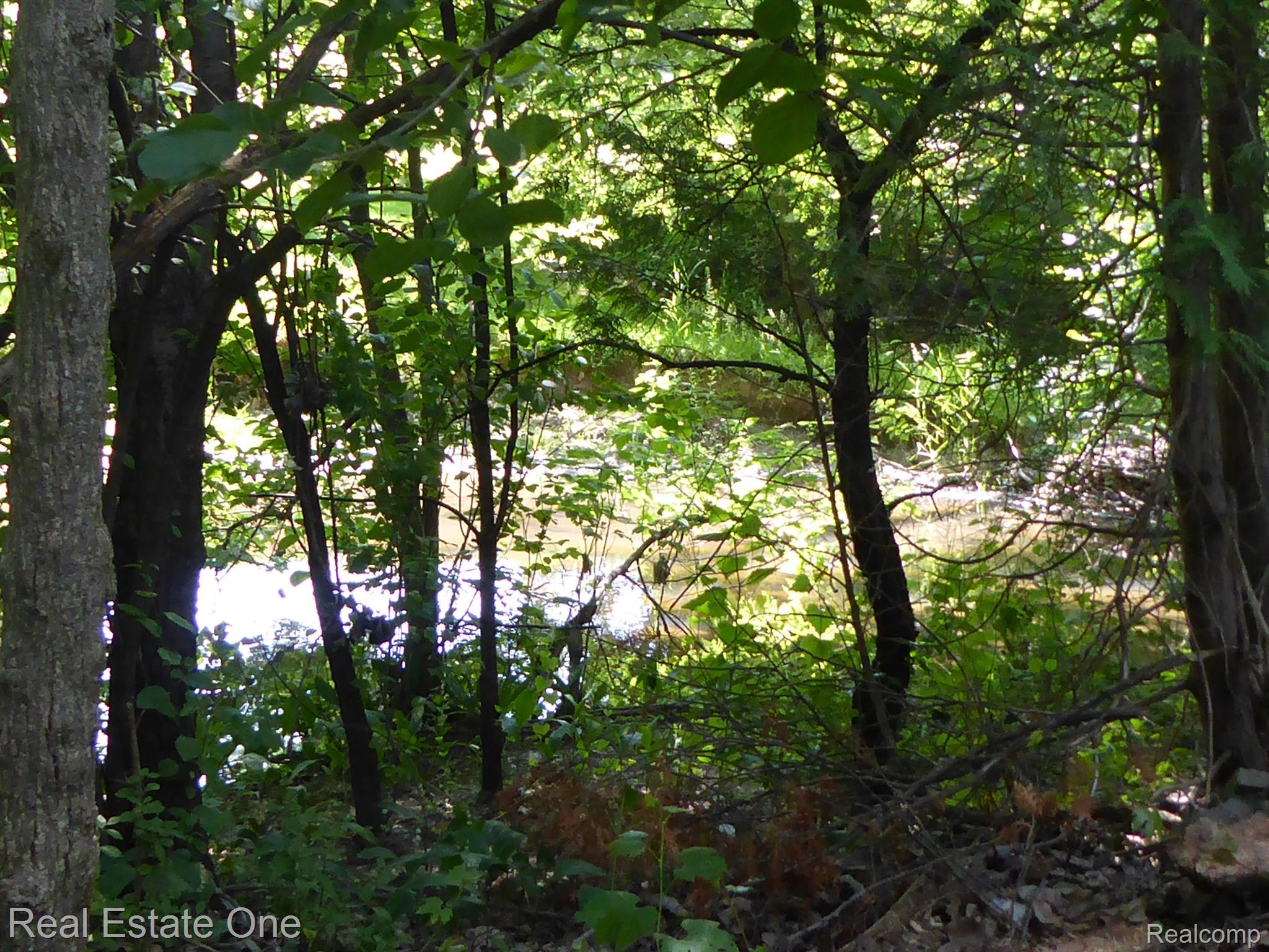 2779 West Wattles Road Troy, MI 48098 - Photo 21 of 23 ROUGE RIVER