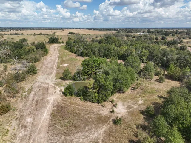 a view of a yard with a forest