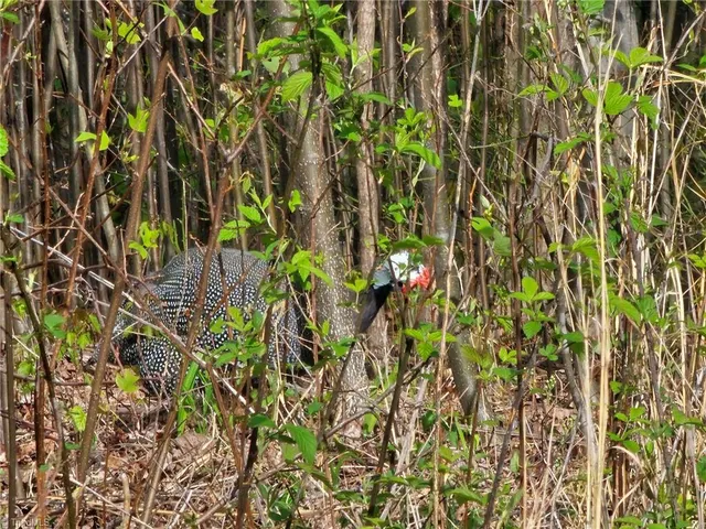 $99,500 | 16 North Millers Creek, Millers Creek, NC 28651