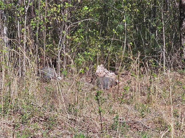 $99,500 | 16 North Millers Creek, Millers Creek, NC 28651