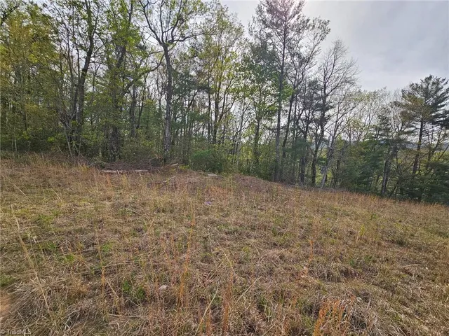 $99,500 | 16 North Millers Creek, Millers Creek, NC 28651