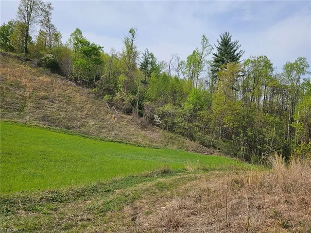 $99,500 | 16 North Millers Creek, Millers Creek, NC 28651