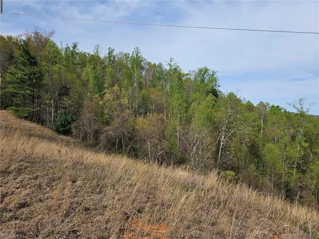 $99,500 | 16 North Millers Creek, Millers Creek, NC 28651