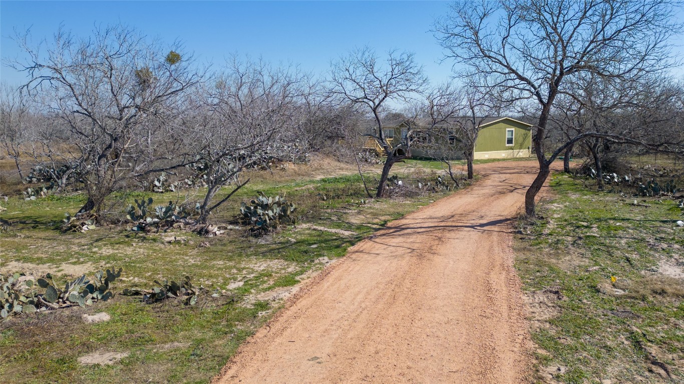 154 Cowboy Road Gonzales, TX 78629 - Photo 32 of 39 a view of a yard with large trees