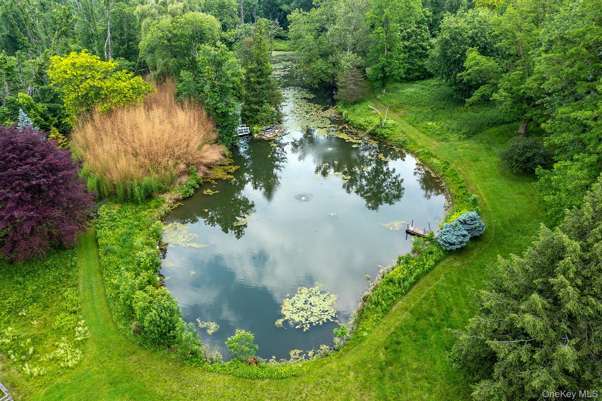 202 Buckwheat Road Hudson, NY 12534 - Photo 42 of 49 a view of a lake with a yard