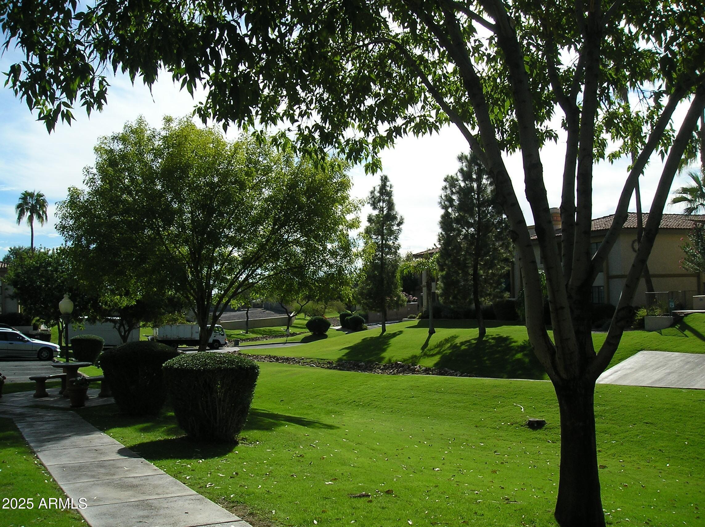 10410 North Cave Creek Road, Unit 1027 Phoenix, AZ 85020 - Photo 32 of 37 a view of a park with large trees