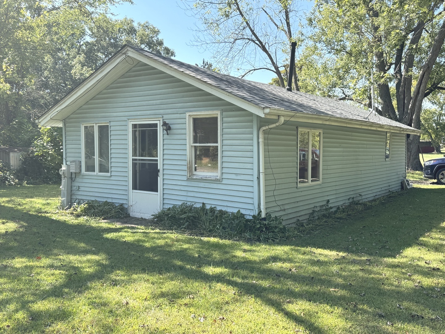 a view of a backyard with plants and large tree