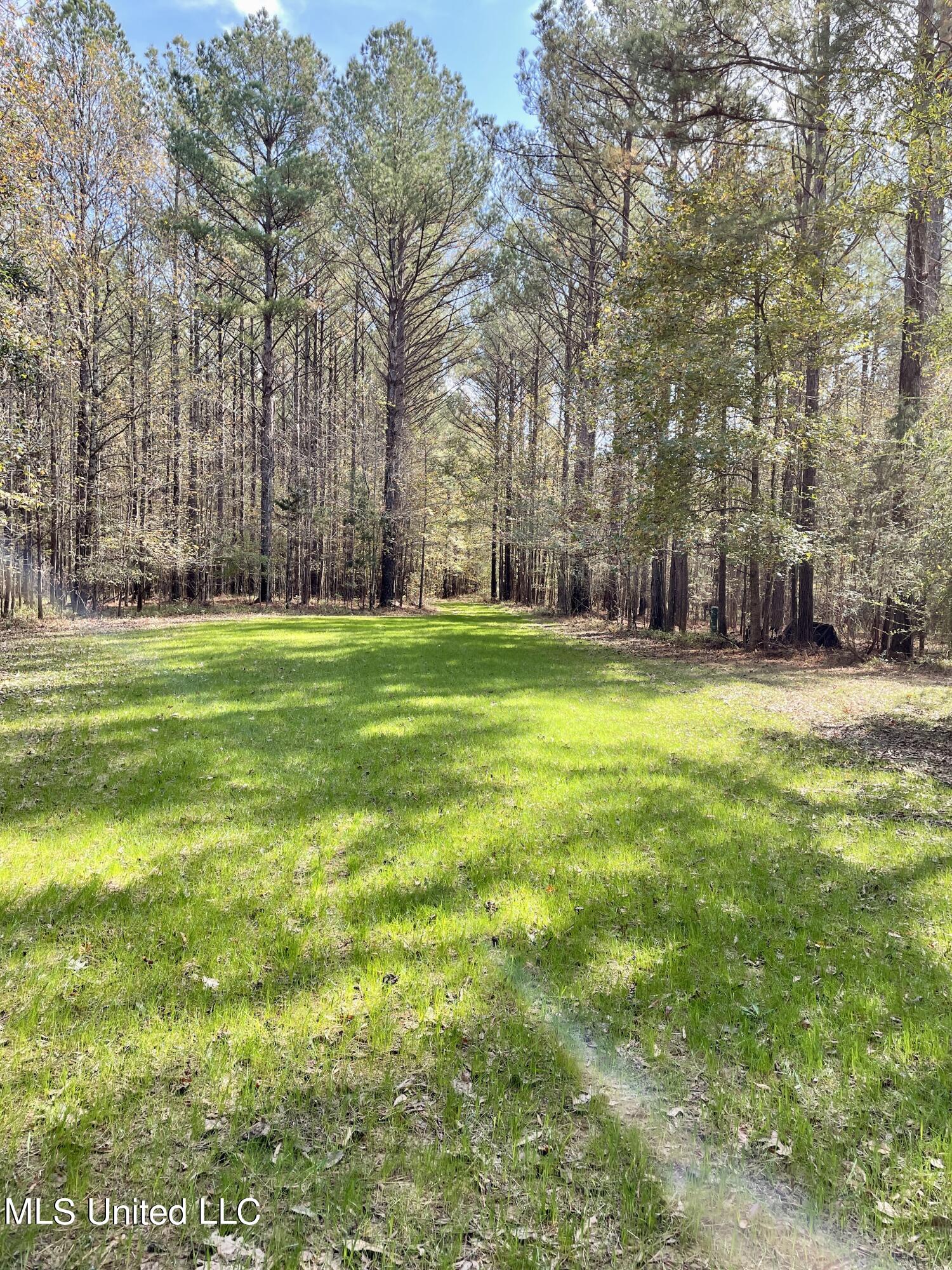 1551 Ebenezer-pickens Road Pickens, MS 39146 - Photo 5 of 55 IMG_E5927