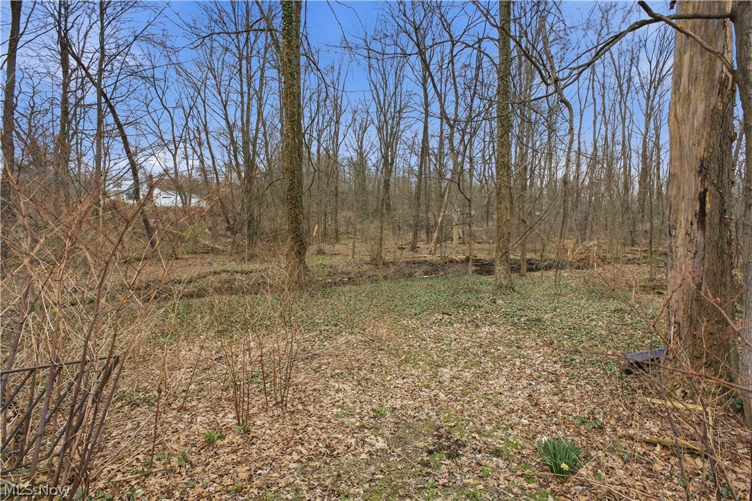 1110 Niles Vienna Road Vienna, OH 44473 - Photo 30 of 33