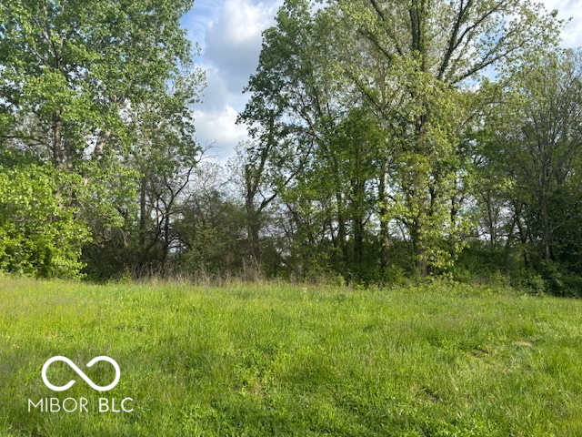 919 Wilson Way Franklin, IN 46131 - Photo 2 of 4