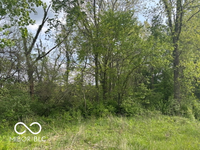 919 Wilson Way Franklin, IN 46131 - Photo 3 of 4