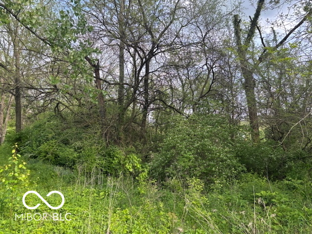 919 Wilson Way Franklin, IN 46131 - Photo 4 of 4