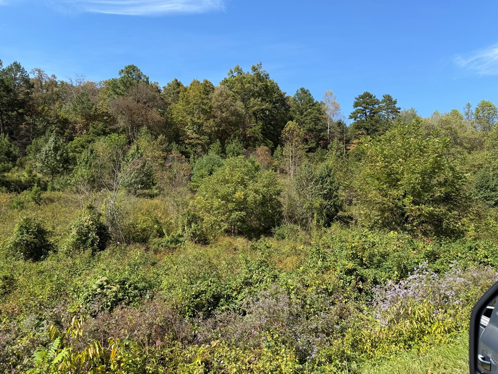 9.10 Oakgrove Road Murphy, NC 28906 - Photo 8 of 13