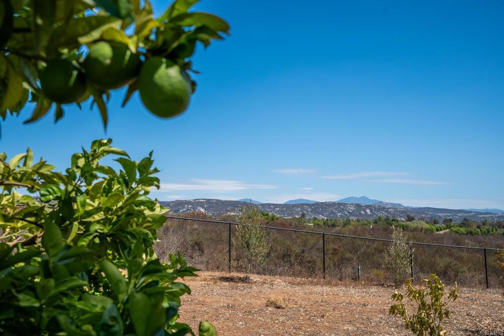 2090 Quail Meadow Road Ramona, CA 92065 - Photo 61 of 72 Gallery Image 61