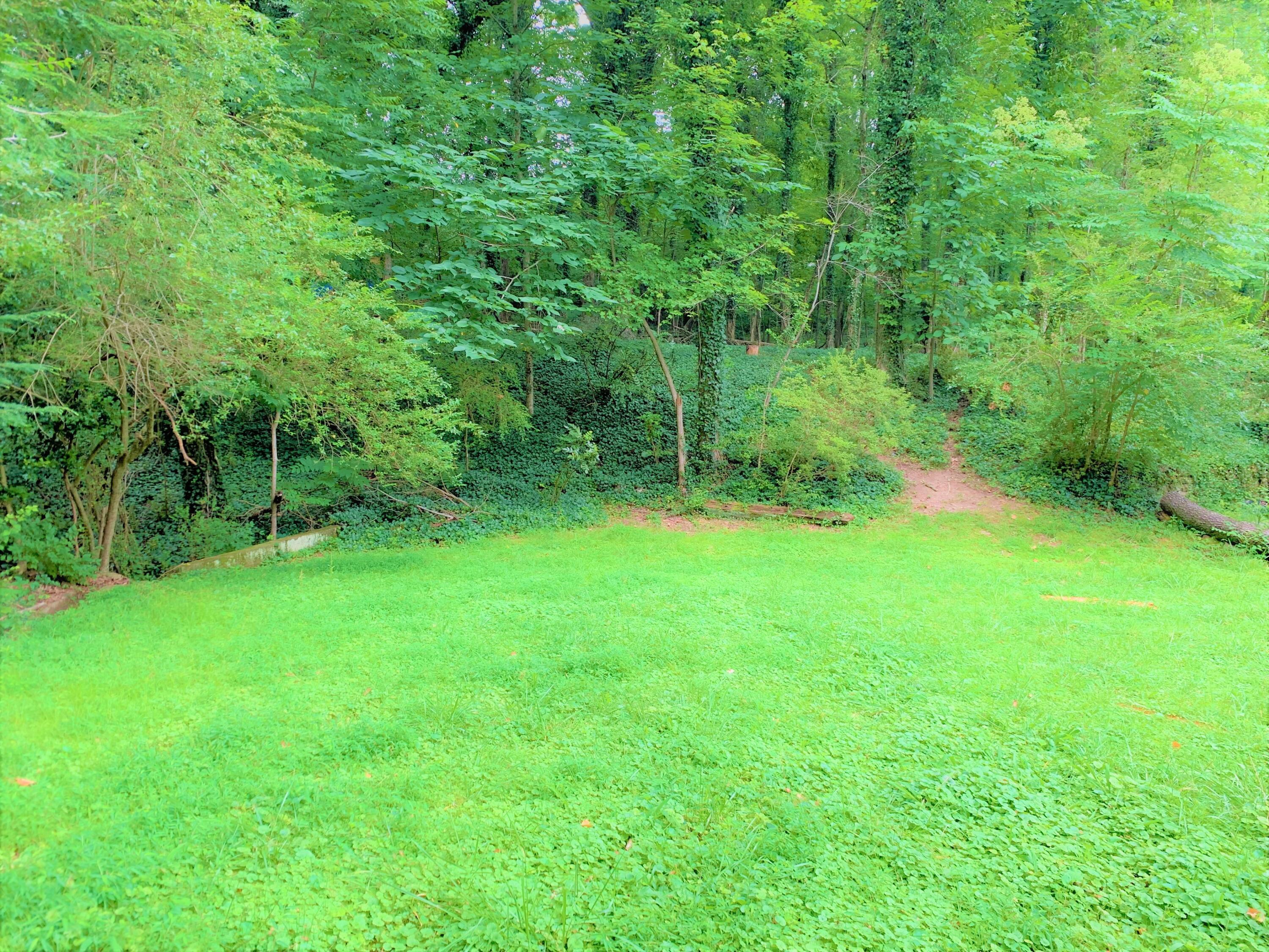 118 Taylor Road Oak Ridge, TN 37830 - Photo 16 of 18 IMG-1406