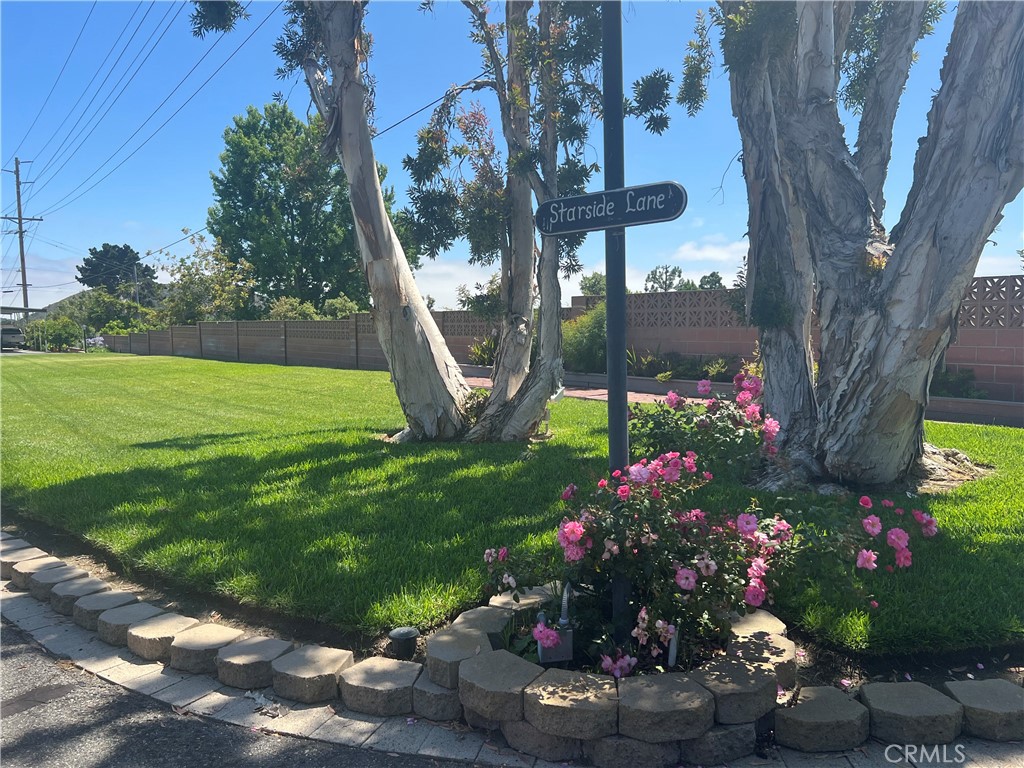 127 Brookside Lane Oceanside, CA 92056 - Photo 30 of 30 a view of a potted flower in a yard with swimming pool