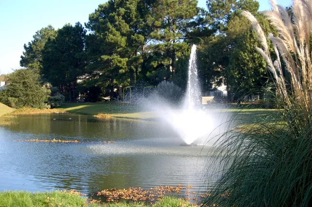 $1,795,000 | 364 Evian Way, Mount Pleasant, SC 29464