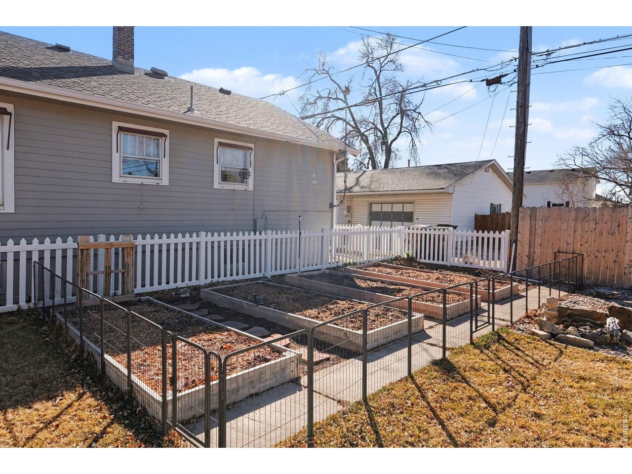 509 Locust Street Windsor, CO 80550 - Photo 29 of 43 Garden beds