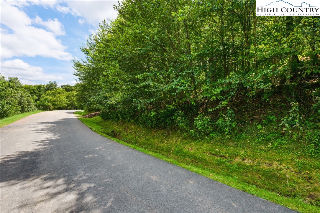Lot 15 Boone Ridge Lane Boone, NC 28607 - Photo 3 of 16 a view of a yard with plants and a trees