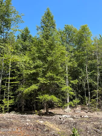 $139,000 | 541 Taborton Road, Sand Lake, NY 12153