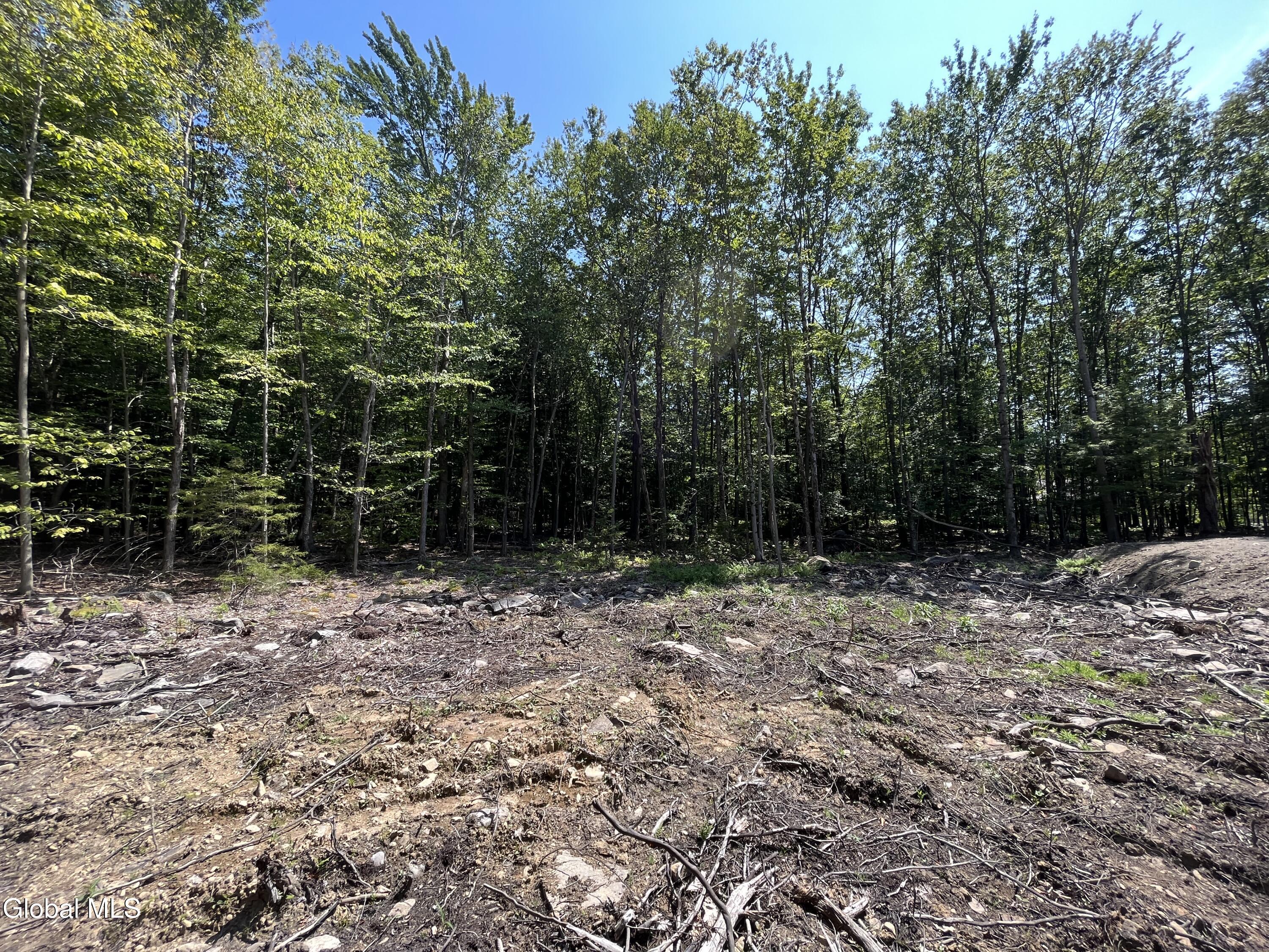 541 Taborton Road Sand Lake, NY 12153 - Photo 12 of 26 SWood21