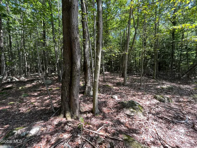 $139,000 | 541 Taborton Road, Sand Lake, NY 12153