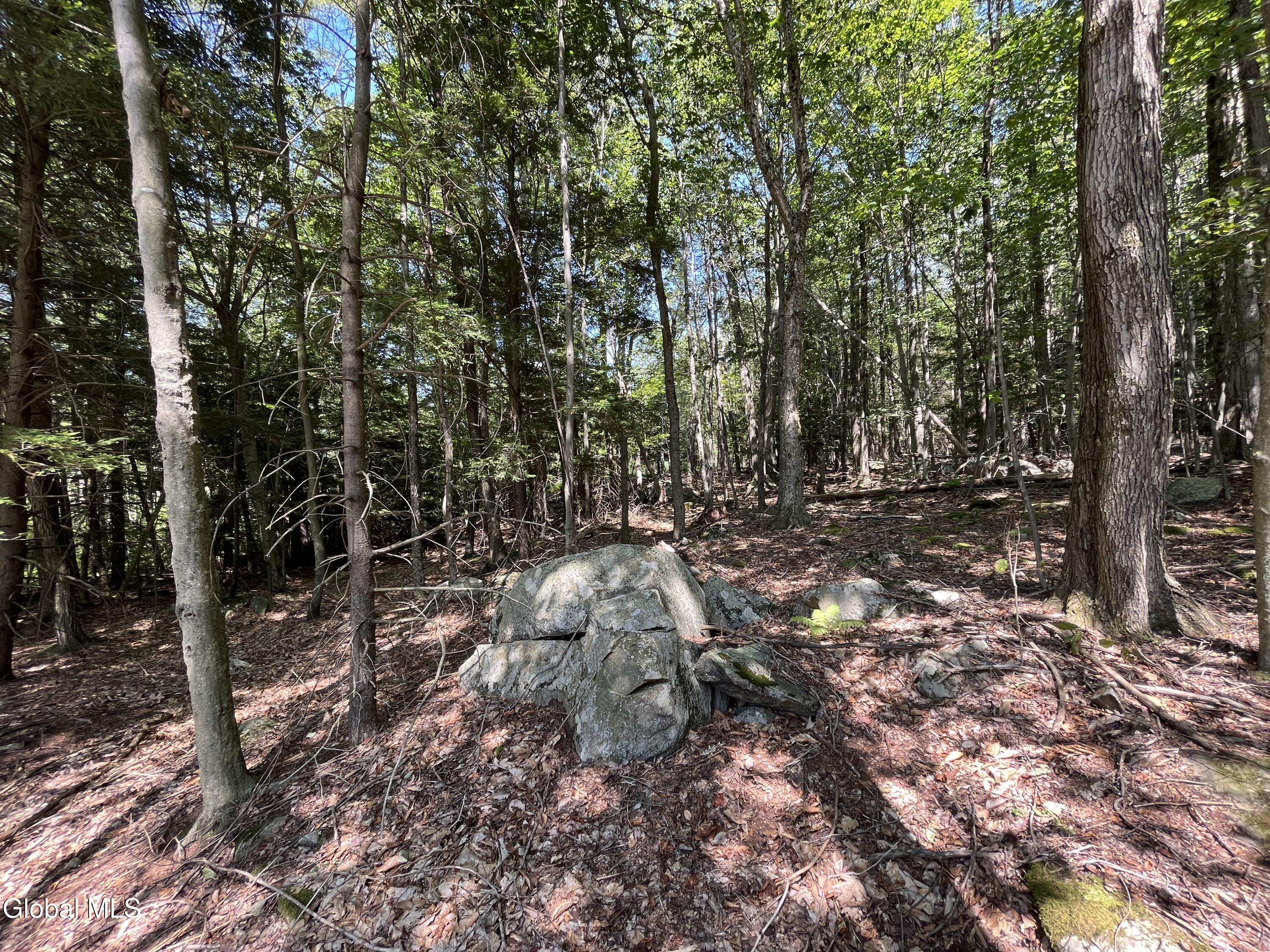 541 Taborton Road Sand Lake, NY 12153 - Photo 15 of 26 SWood24